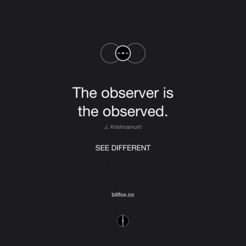 Observer is the observed