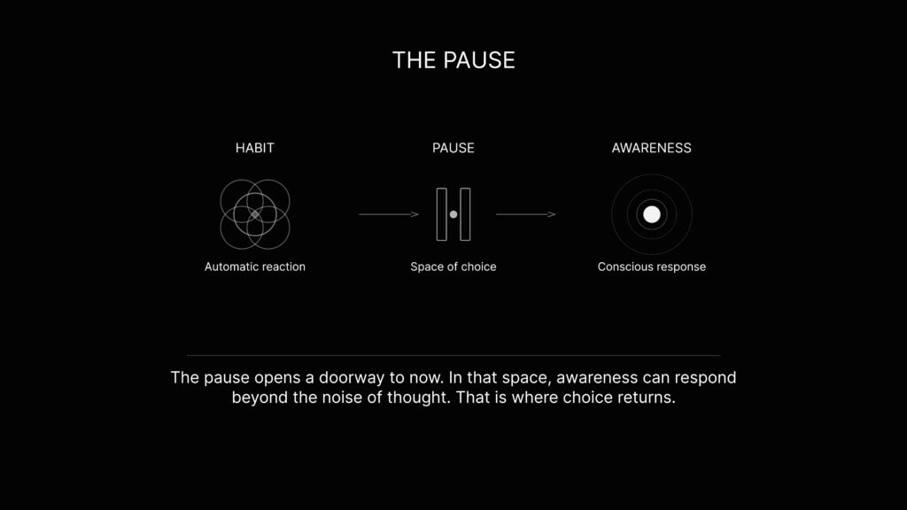The pause manifesto