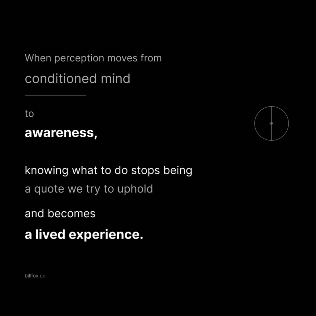 Perception lived experience